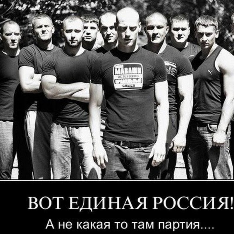Миша Маваши обои