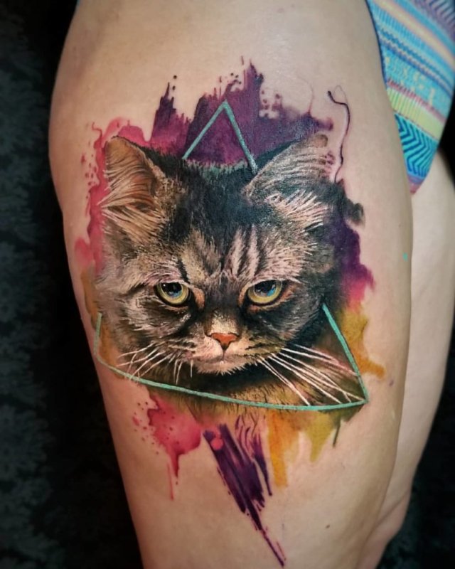 Тату кошки трехшерстные