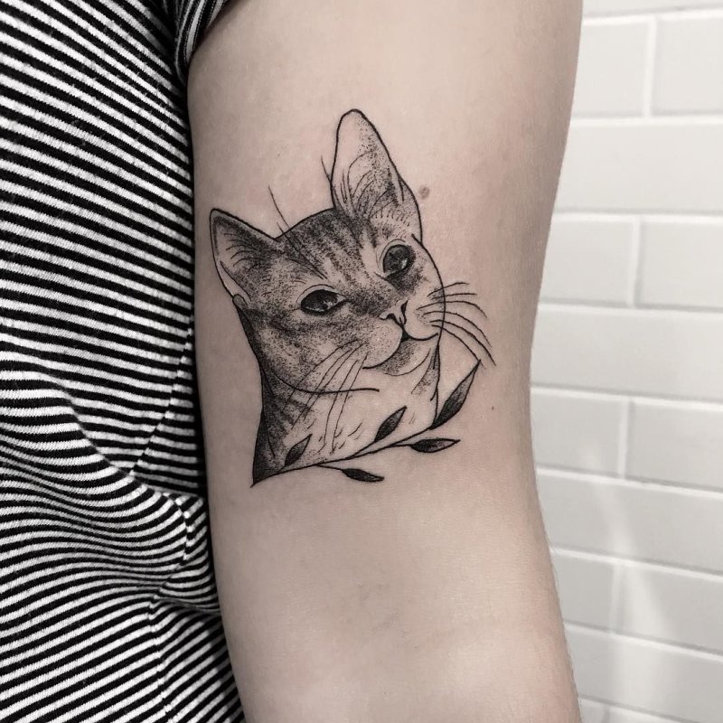 Тату Абиссинская кошка