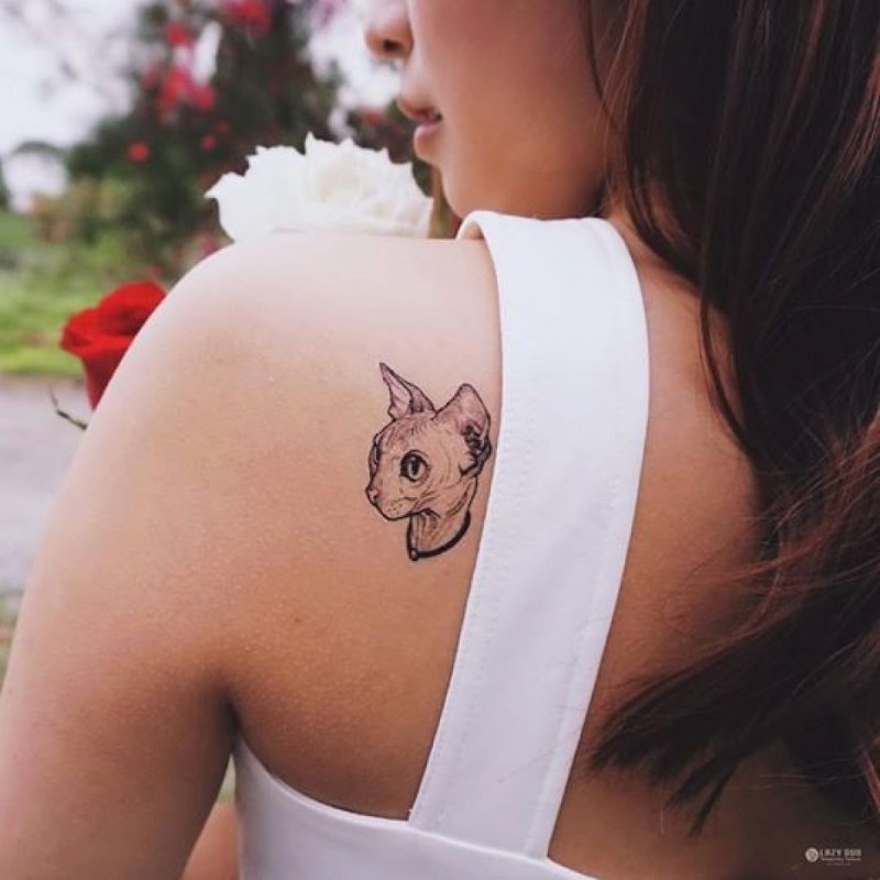 Cats Tattoo Lazy