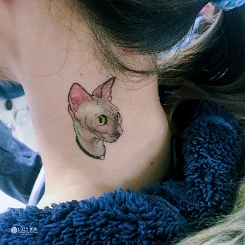 Тату кошка на пояснице