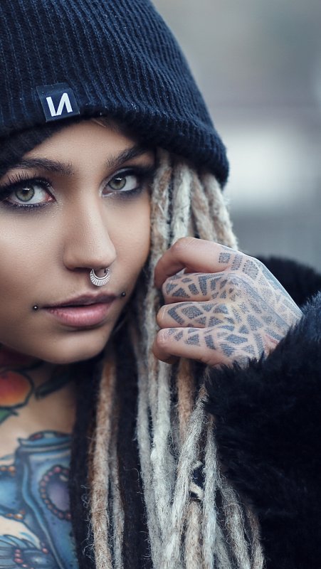 Fishball модель информация