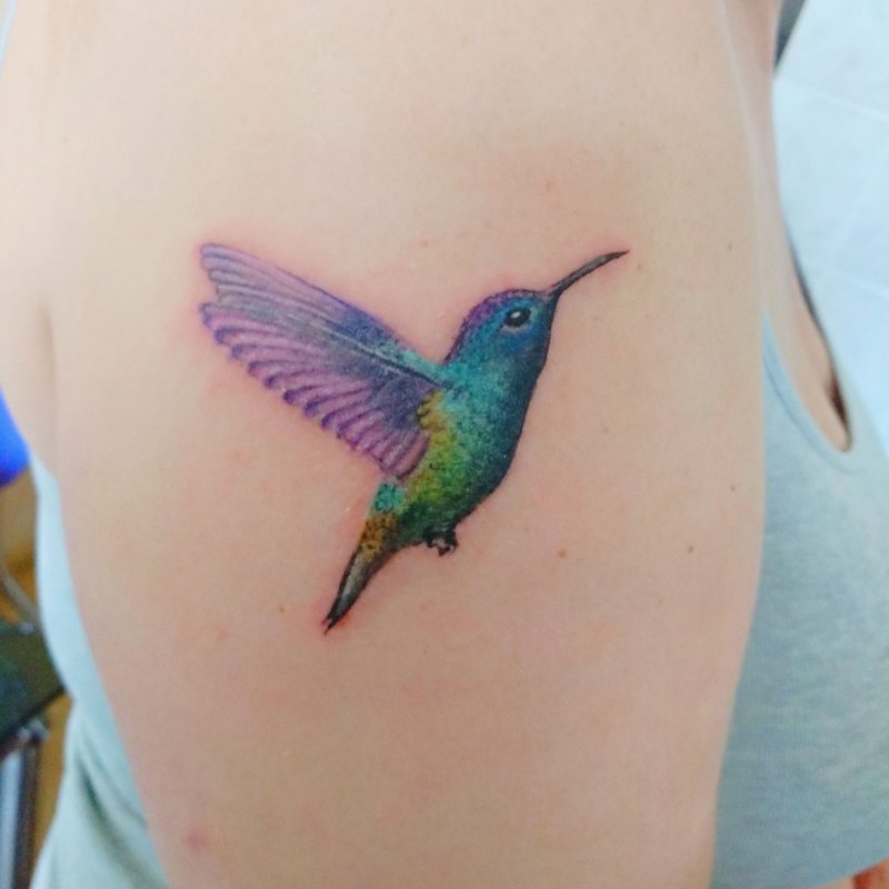 4k Colibri