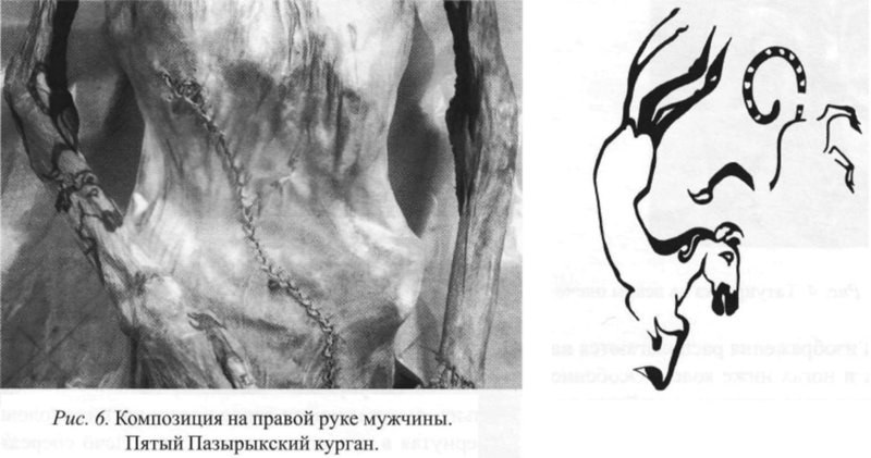 Пазырыкский Курган Татуировки