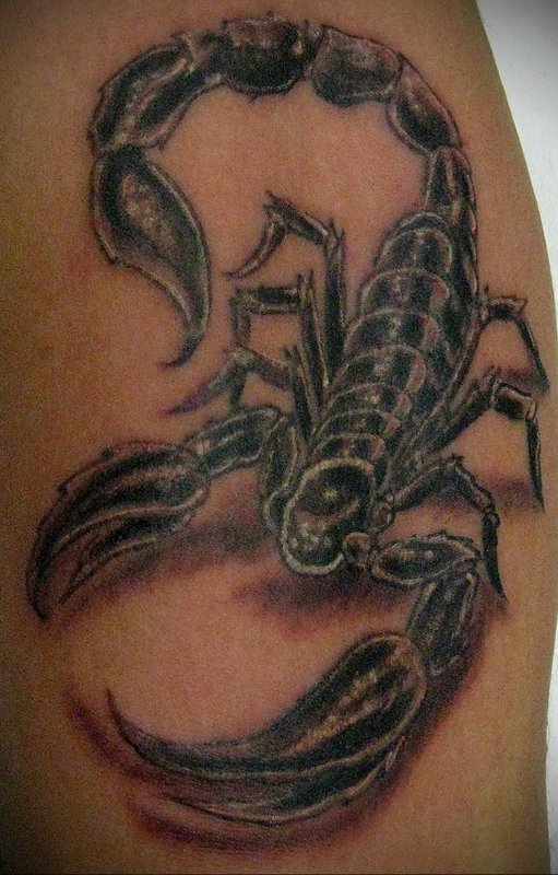 Scorpions тату
