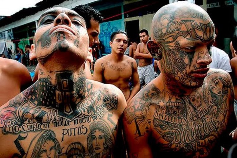 Банда Мара Сальватруча ms13