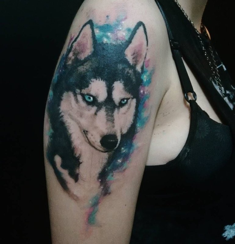 Хаски Tattoo