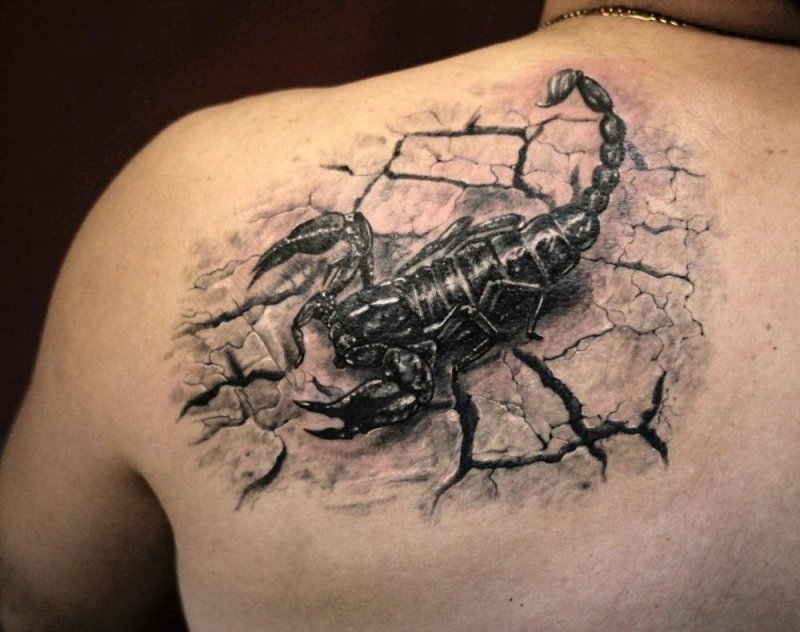 Скорпион на черепе