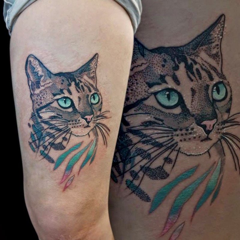 Тату кот