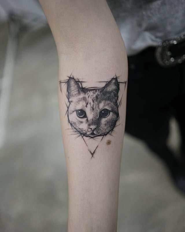 Тату кошка