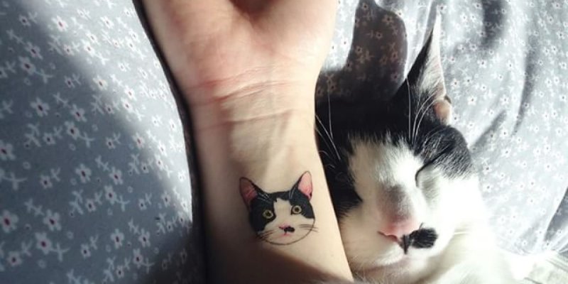 Необычные тату с котом