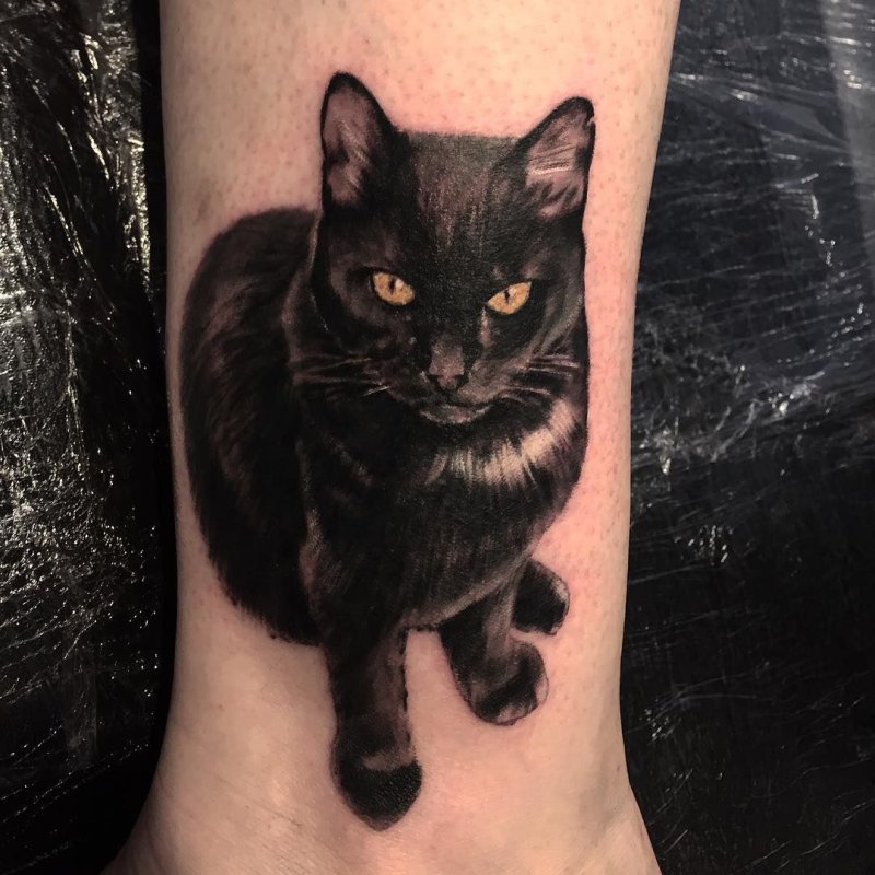Тату черный котик