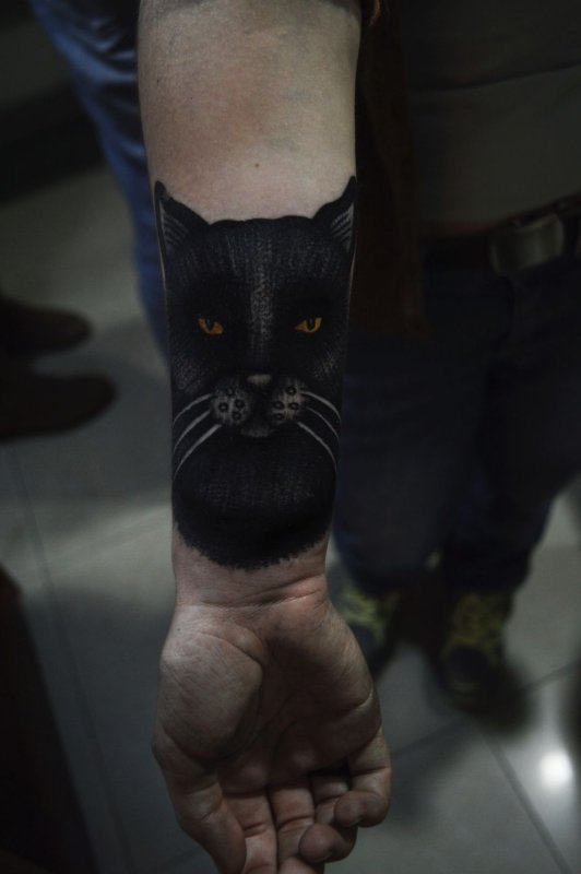 Тату кот