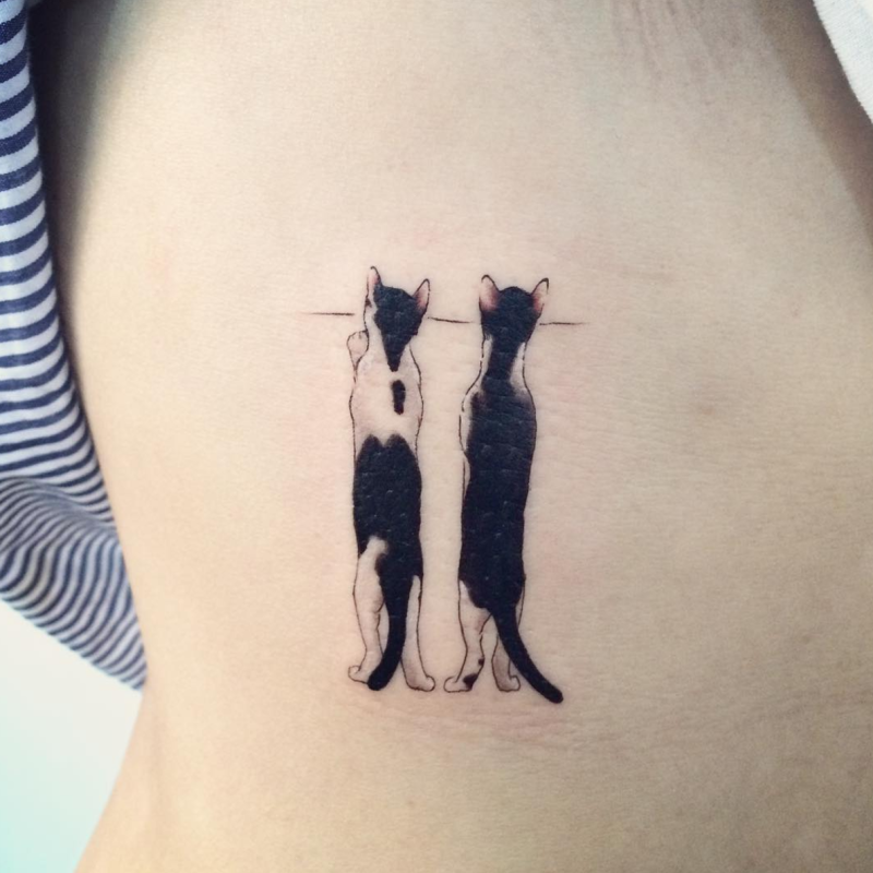 Маленькие тату кошки