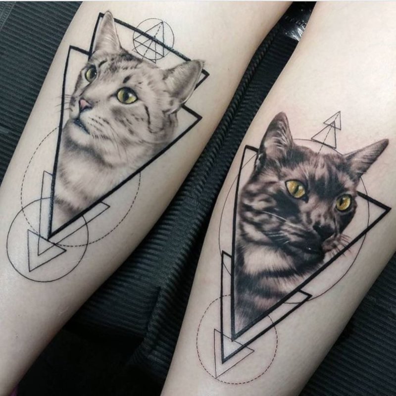 Тату три кота