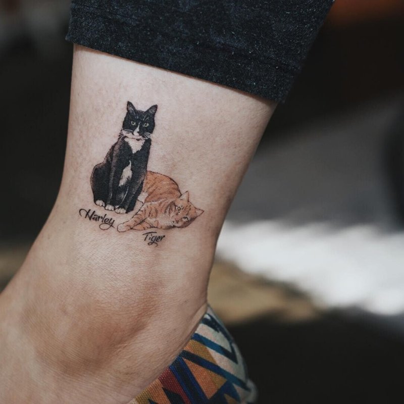 Котик сейлормун тату