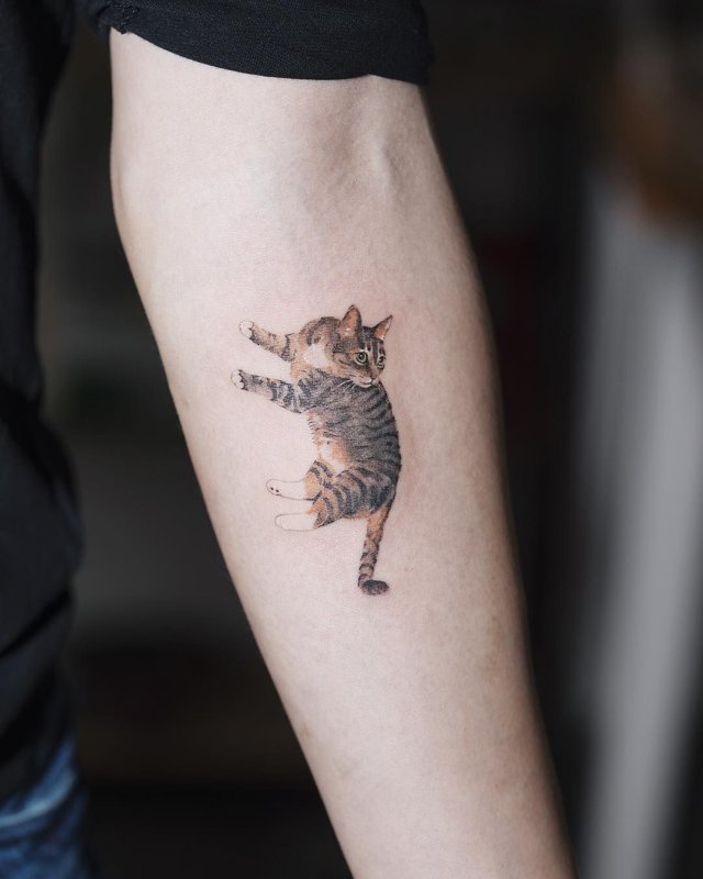 Парные тату с котами