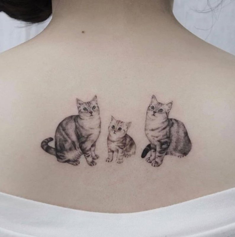Парные тату котики