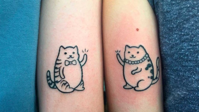 Парные тату котики