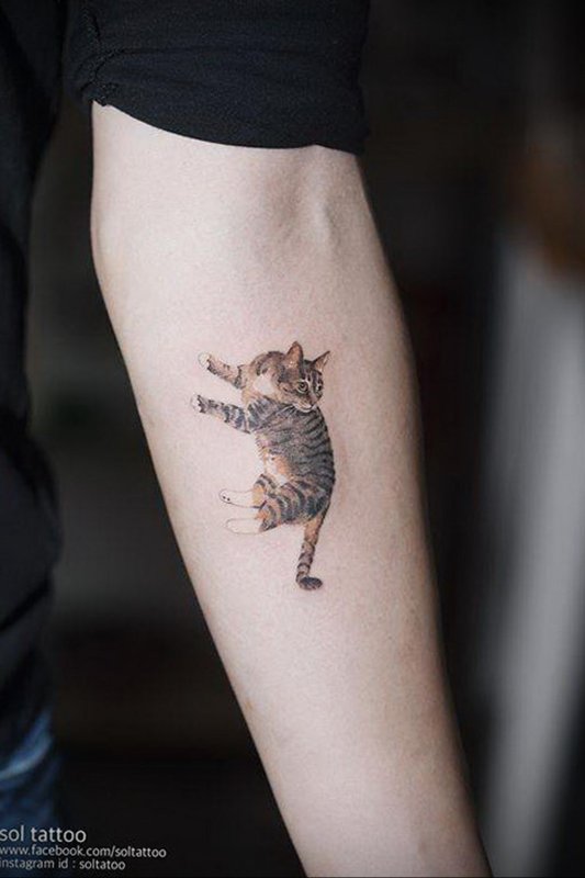 Тату черных котов