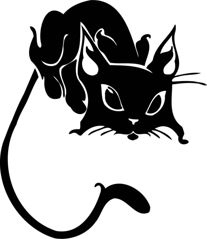 Тату кошка