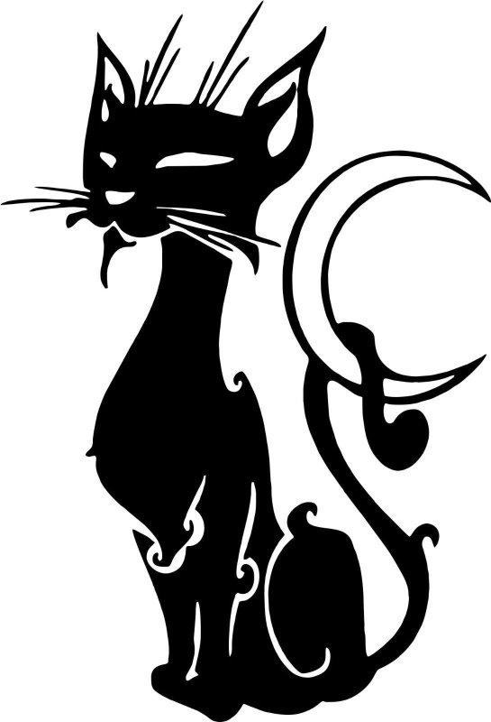 Изящный силуэт кошки
