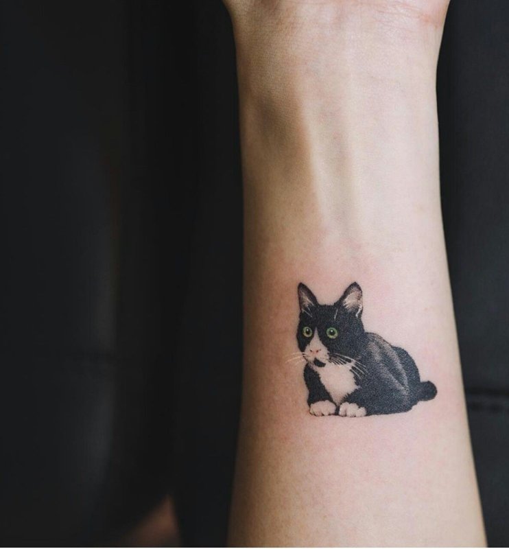 Стилизованные кошки