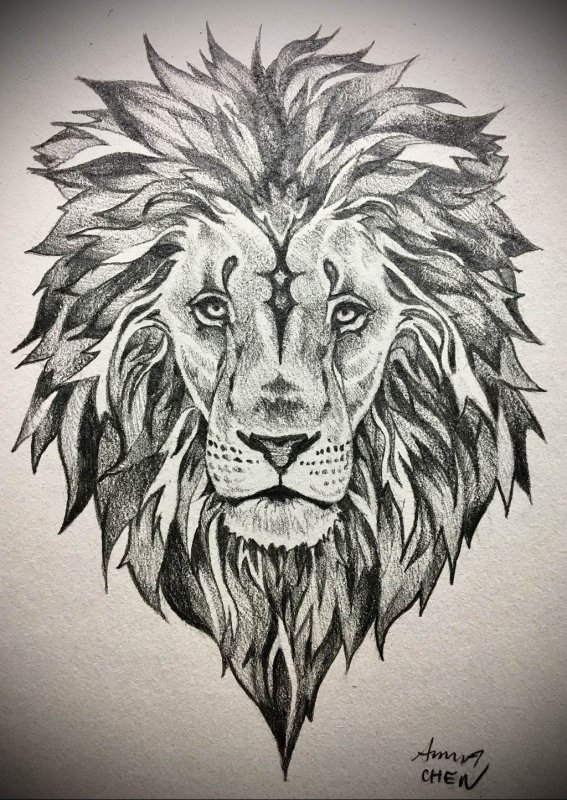 Лев красками