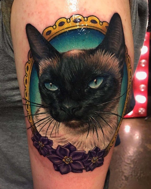 Котенок тату реализм
