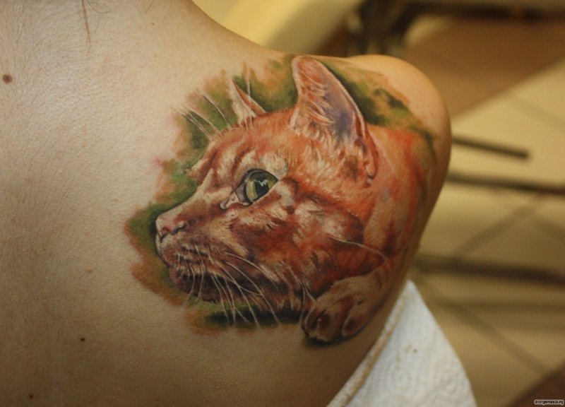 Кошка реализм