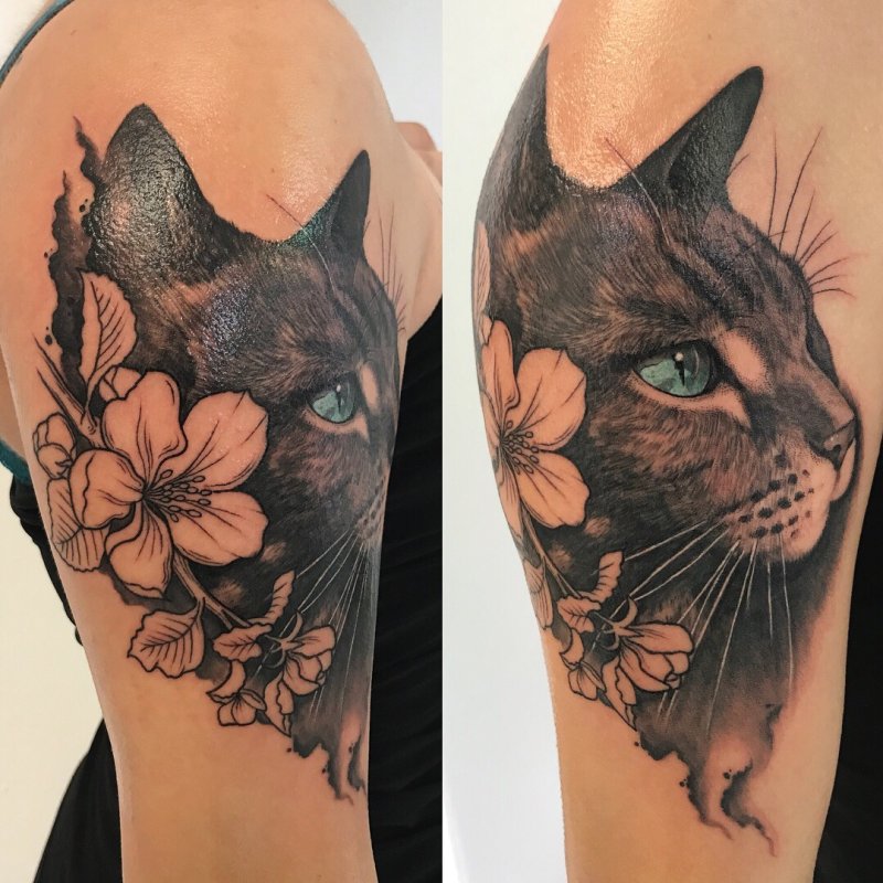 Тату Бенгальская кошка