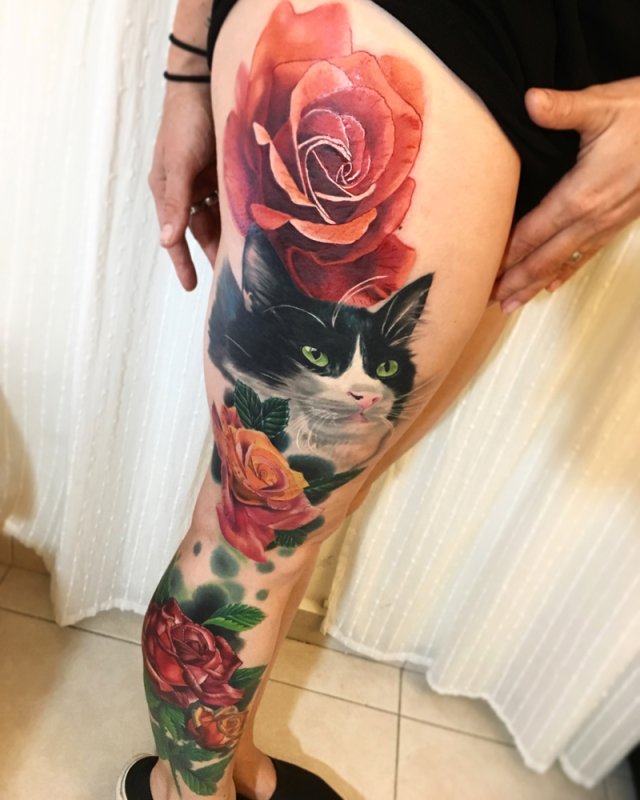 Татуировки сфинксов кошек
