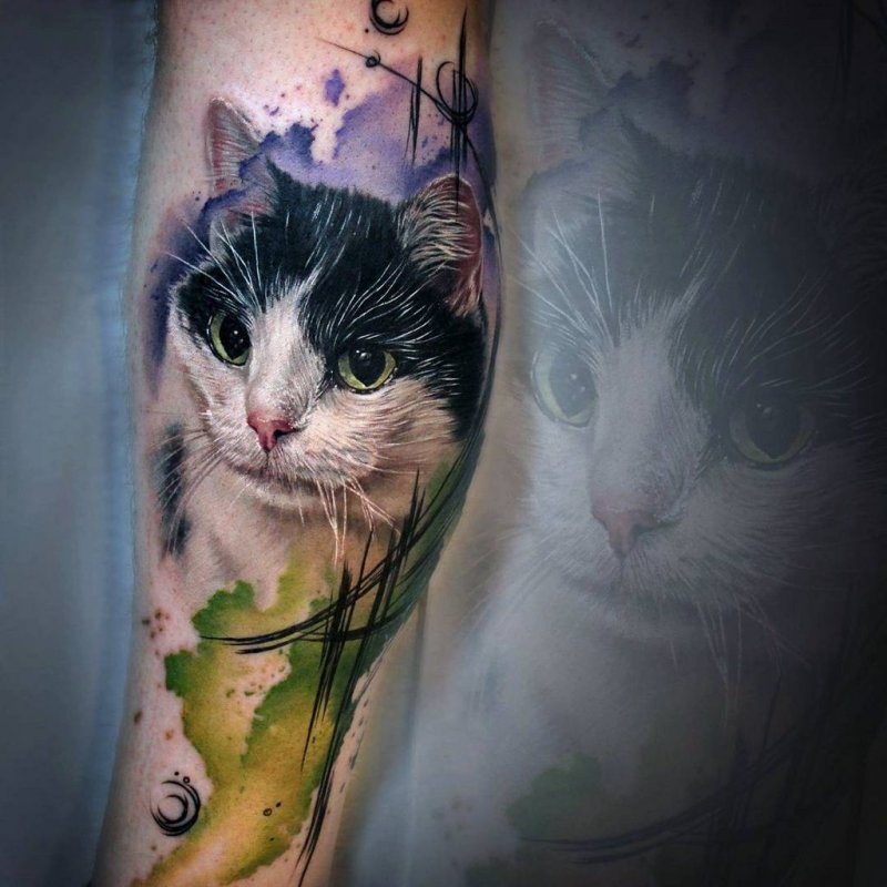 Тату мордочка кошки
