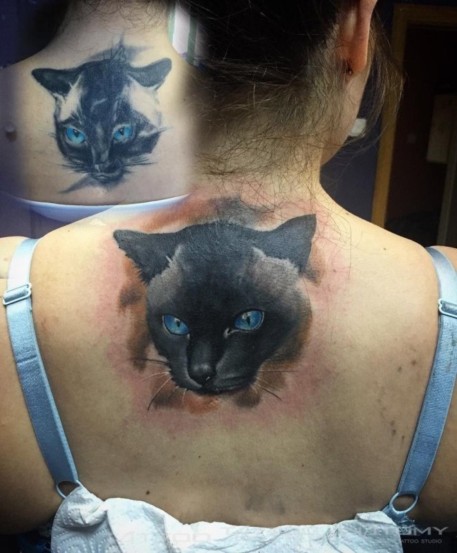 Кошка реализм