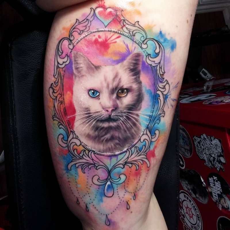 Тату британский кот
