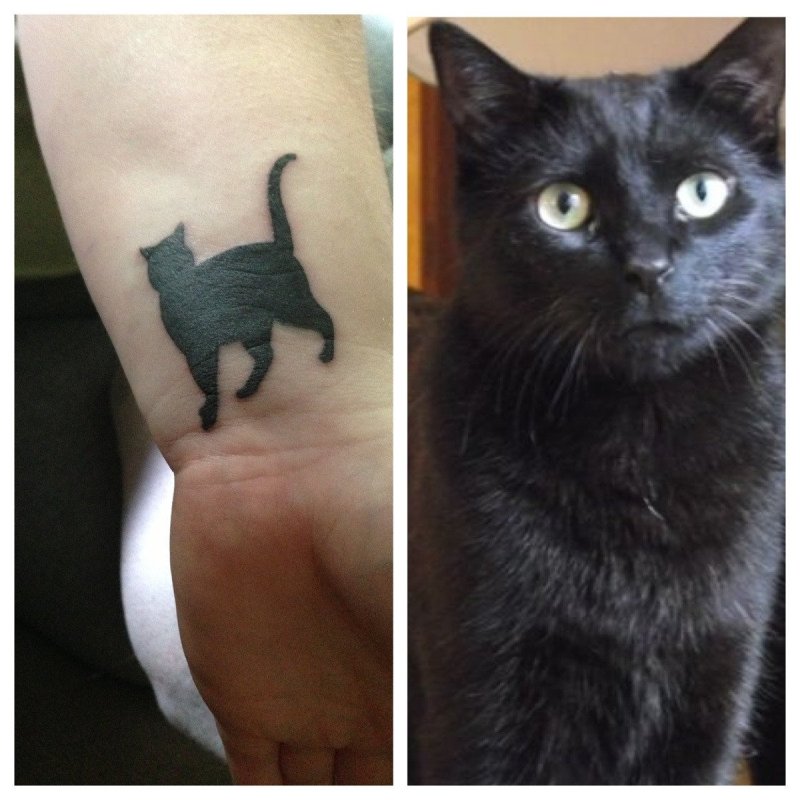 Тату кошка