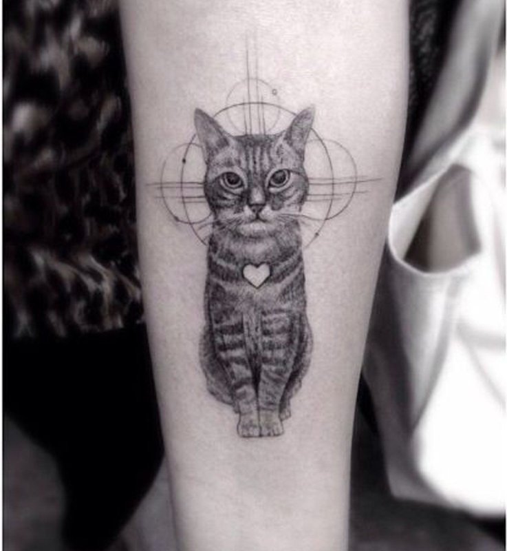 Тату мордочка кошки
