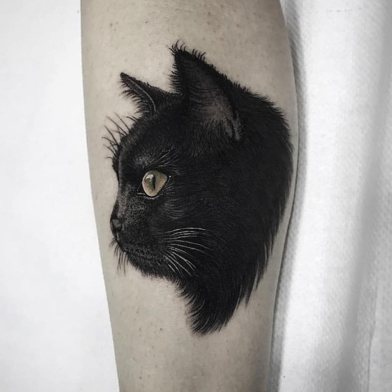 Татуированные кошки