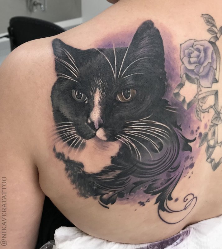 Тату черных кошек
