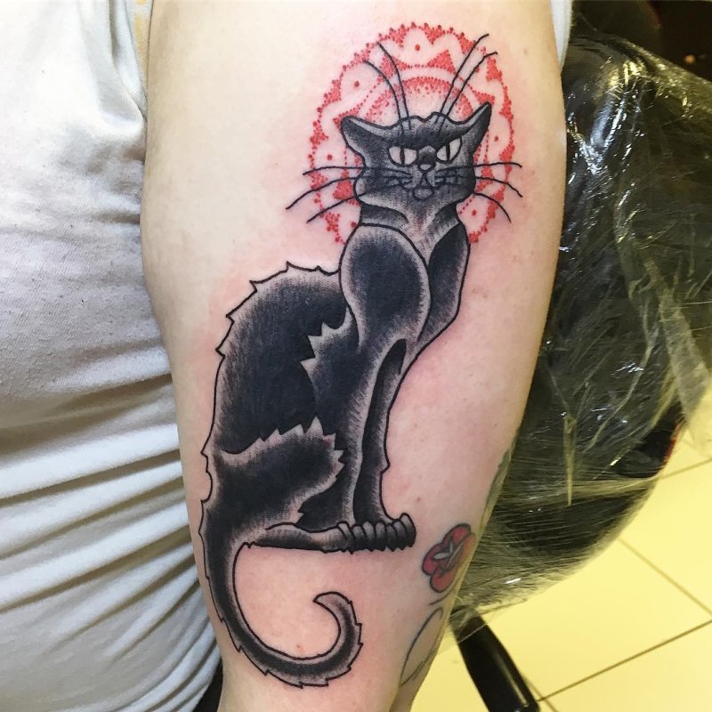 Тату агрессивная кошка