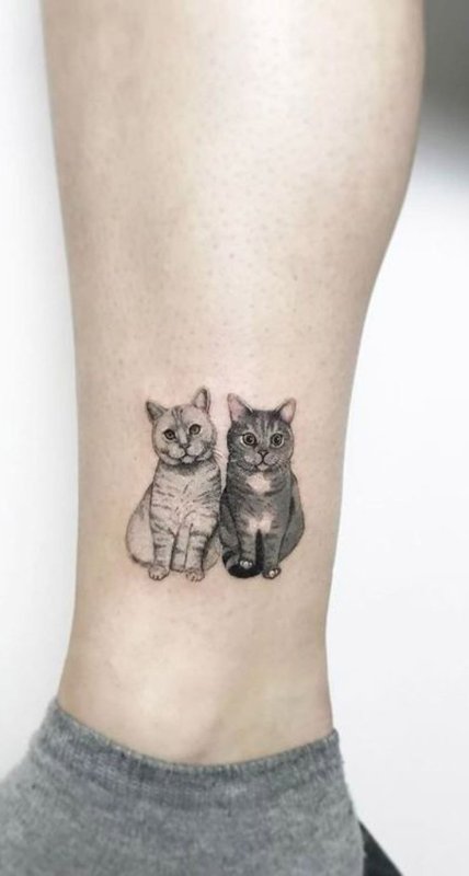 Тату коты