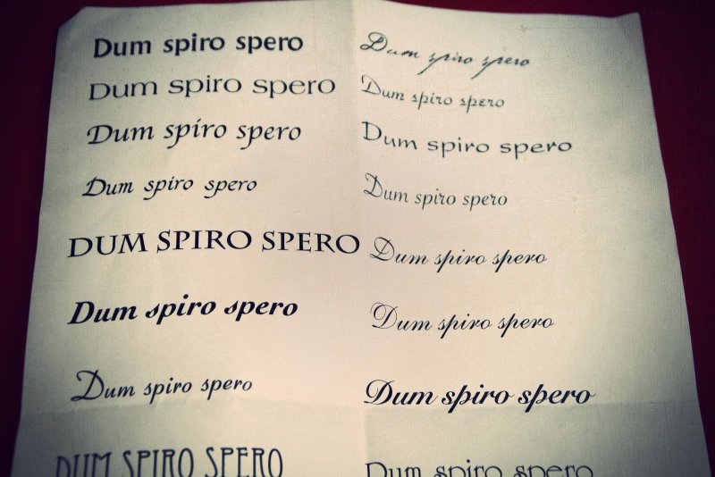 Тату с надписью Dum Spiro
