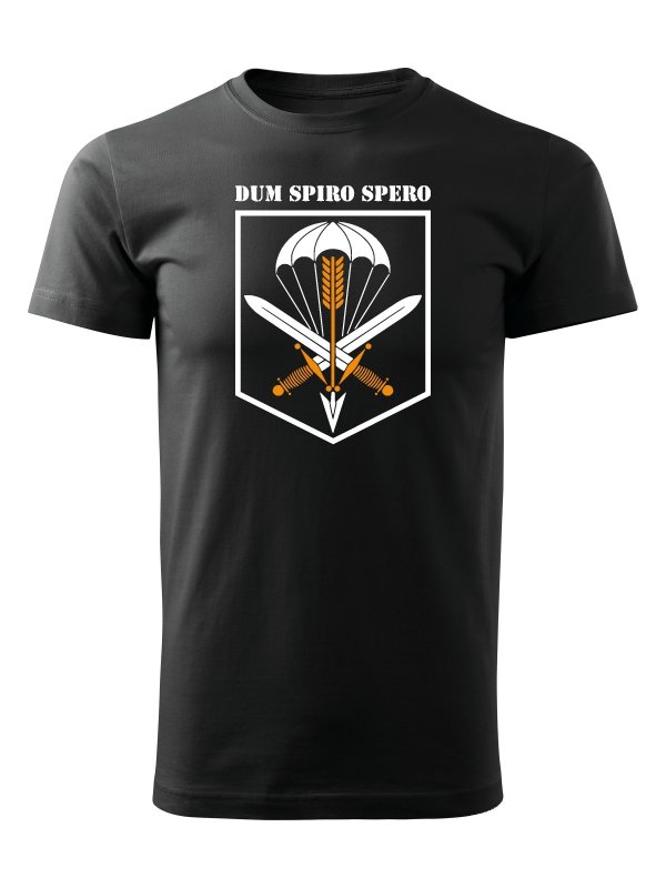 Футболки Dum Spiro spero