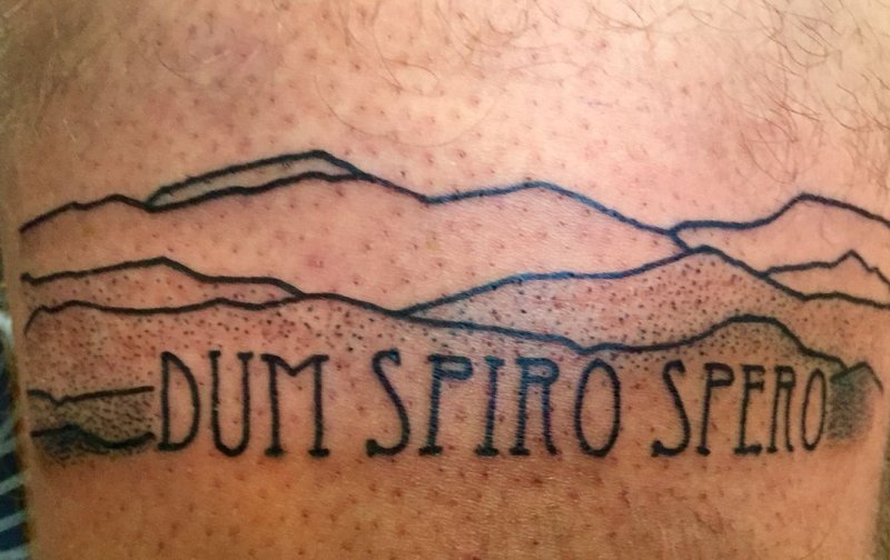 Dum Spiro spero пока дышу надеюсь
