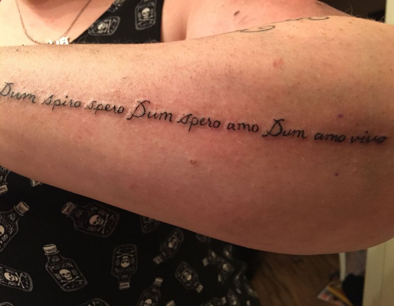 Надписи на латыни Dum Spiro spero