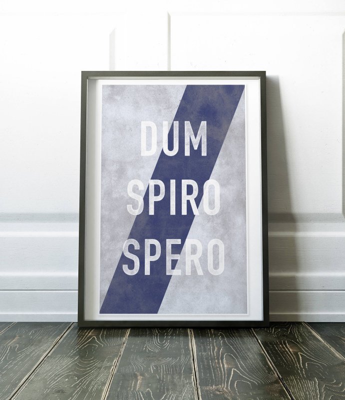 Dum Spiro spero перевод на русский