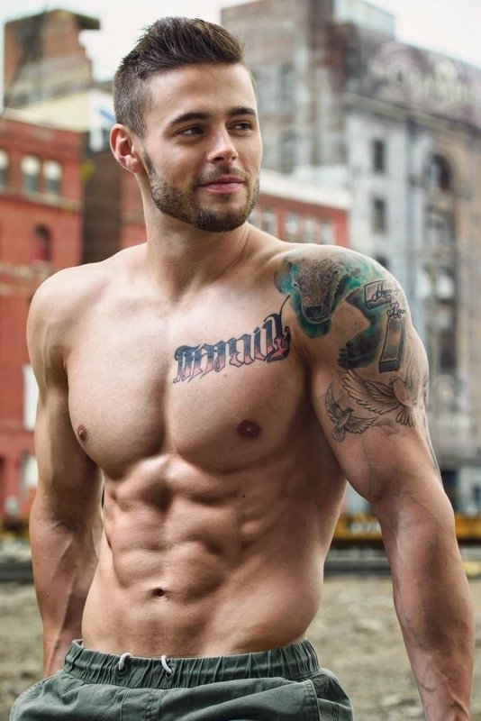 Anthony Hill модель