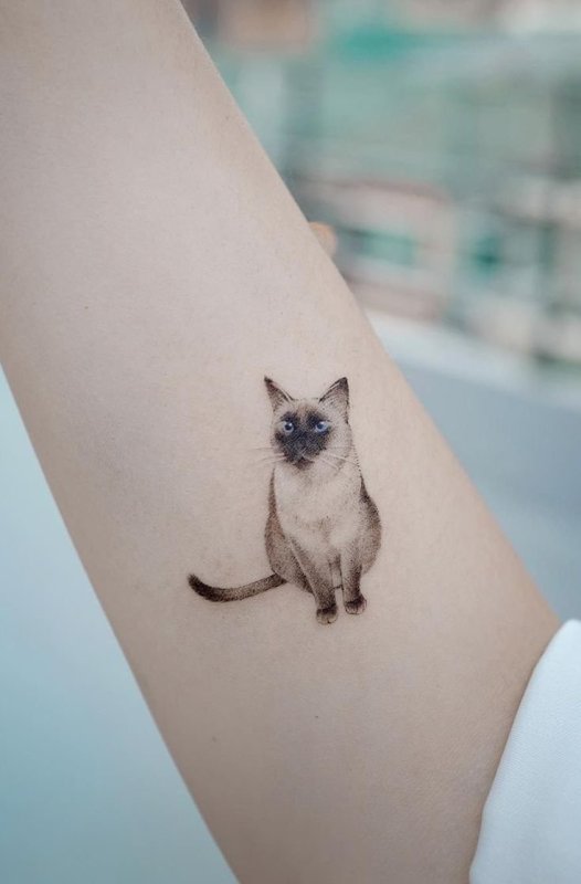 Небольшие тату животных
