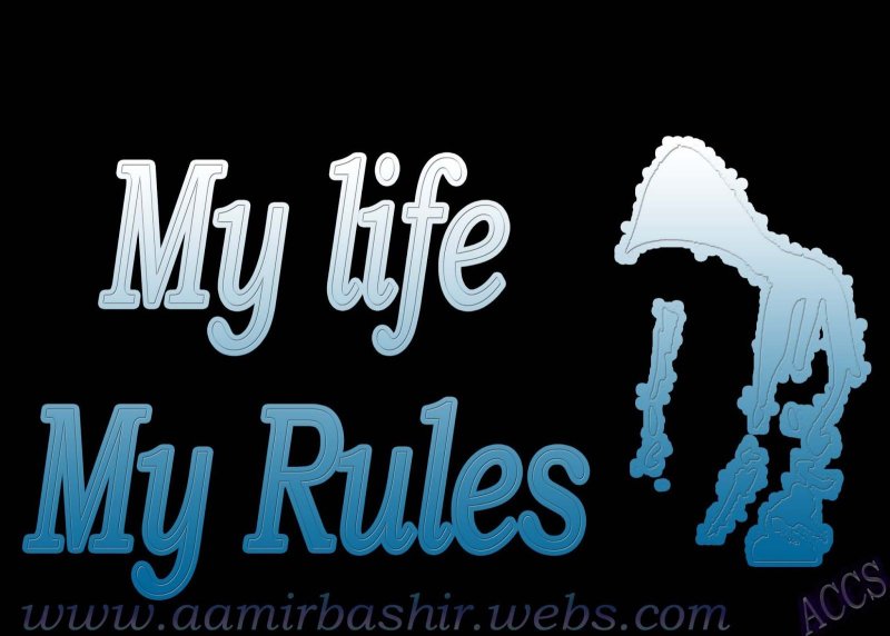 My Life my Rules обои