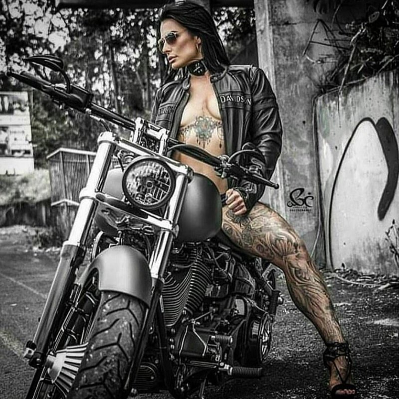 Mongols Motorcycle Club